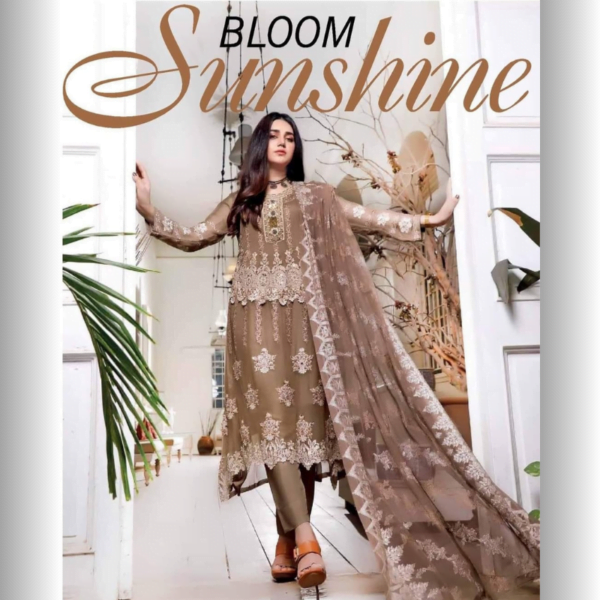 Moti's Fashion - Areeba Chiffon Collection